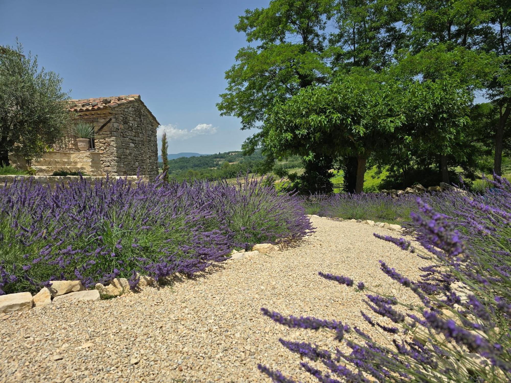 Mas Cerisiers Villa Saint-Martin-de-Castillon Eksteriør billede